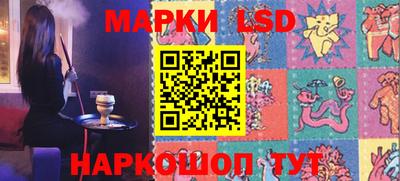гидропоника Новозыбков