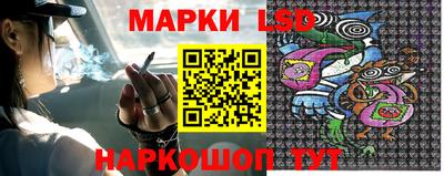 гидропоника Новозыбков