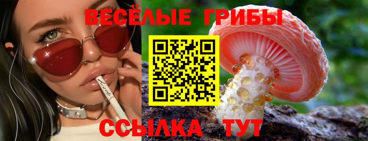 Трёхгорный  Псилоцибиновые грибы Psilocybe  Вход с VPN 